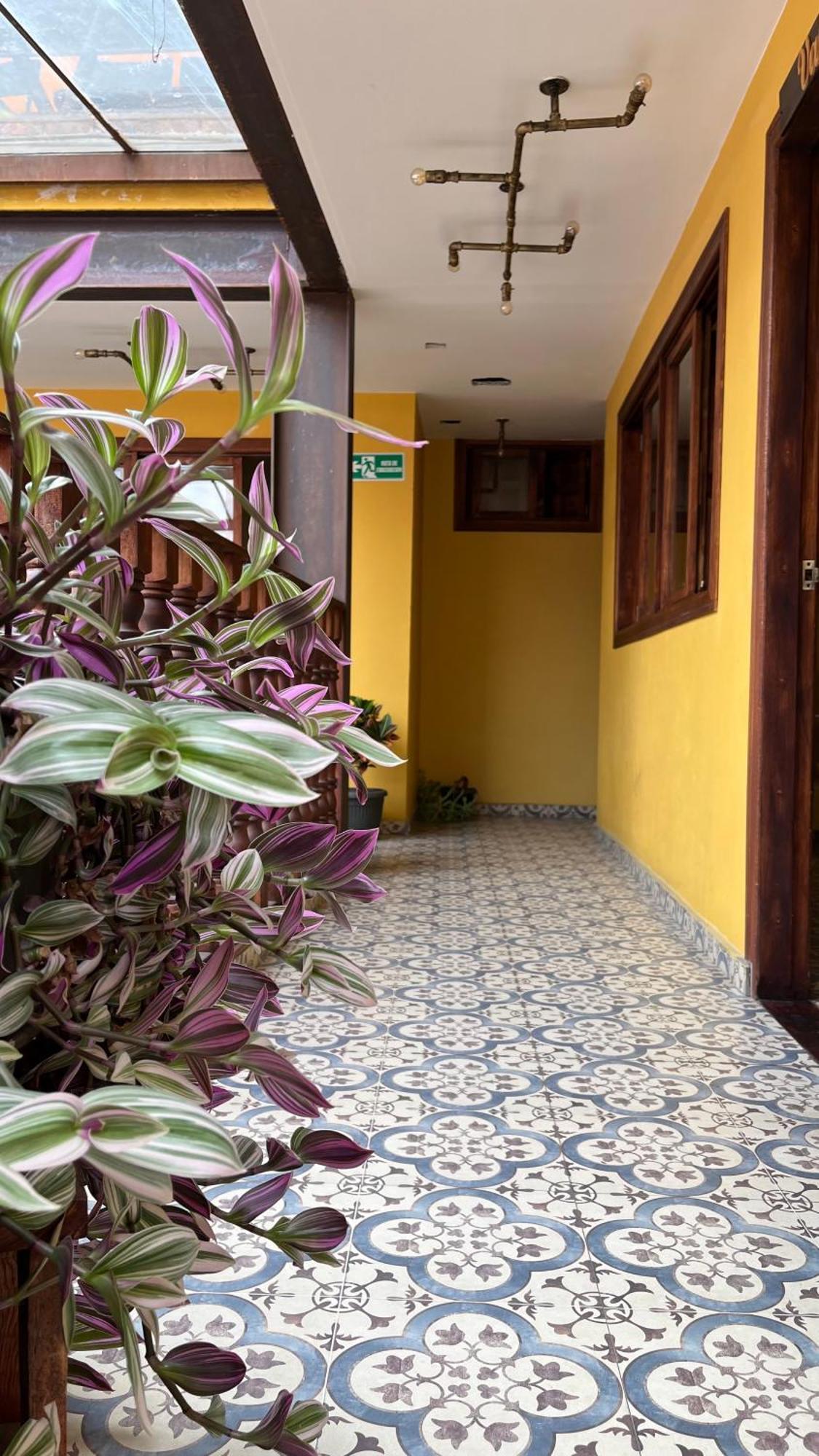 Hostal Casa Astromelia Bogota Bagian luar foto